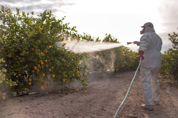 Best Best Pest Control Companies  in South Bay, FL