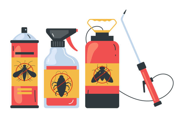 Best Ant Control Services  in South Bay, FL