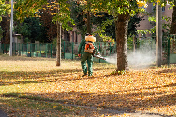 Best Bed Bug Extermination  in South Bay, FL