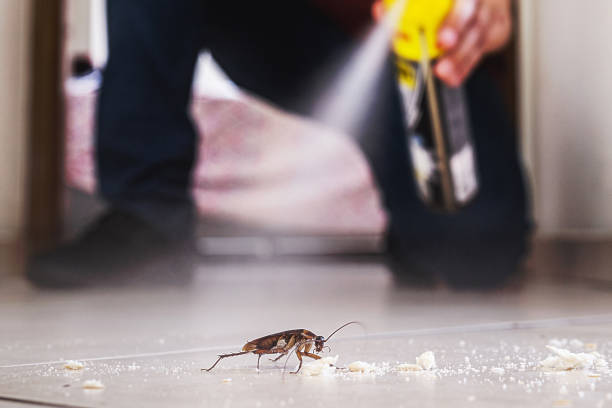 Pest Prevention Services in South Bay, FL