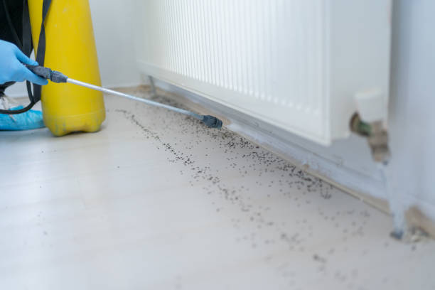 Best Wildlife Control Services  in South Bay, FL