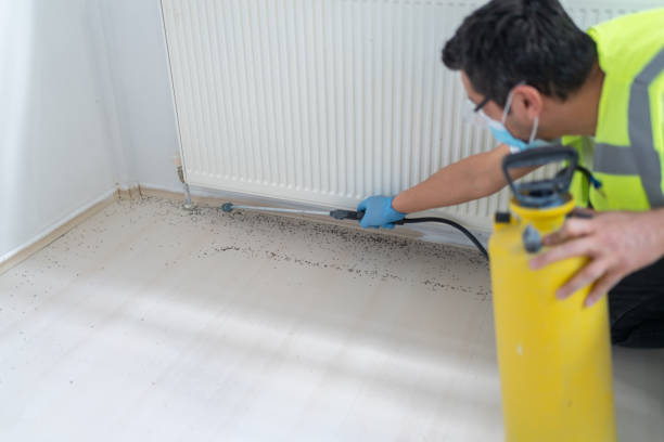 Trusted South Bay, FL Pest Control Experts
