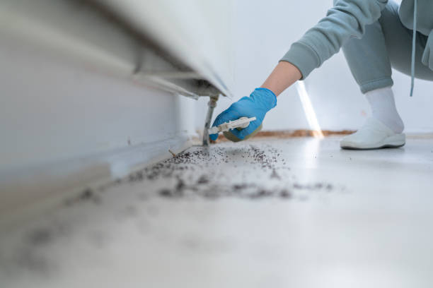Best Commercial Pest Control Services  in South Bay, FL