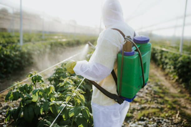  South Bay, FL Pest Control Pros